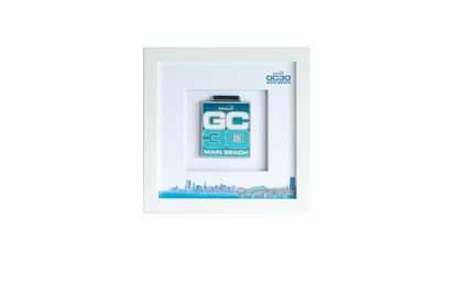 GC30 Marathon Medal Display Frame